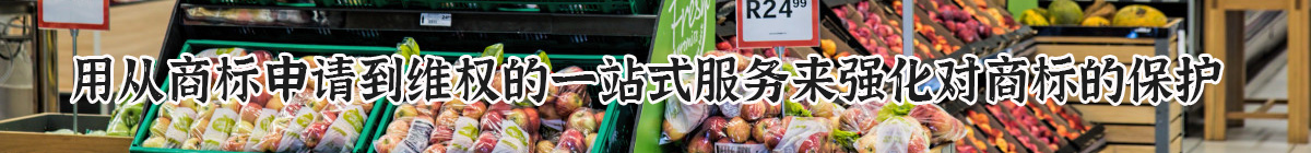 首页广告图